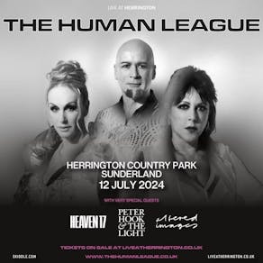 Live at Herrington: The Human League