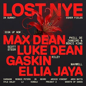 LOST - New Year's Eve - Surrey