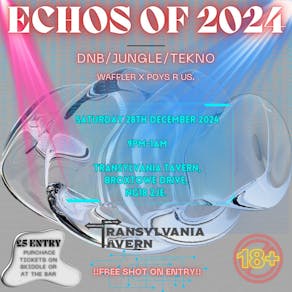 Echos of 2024