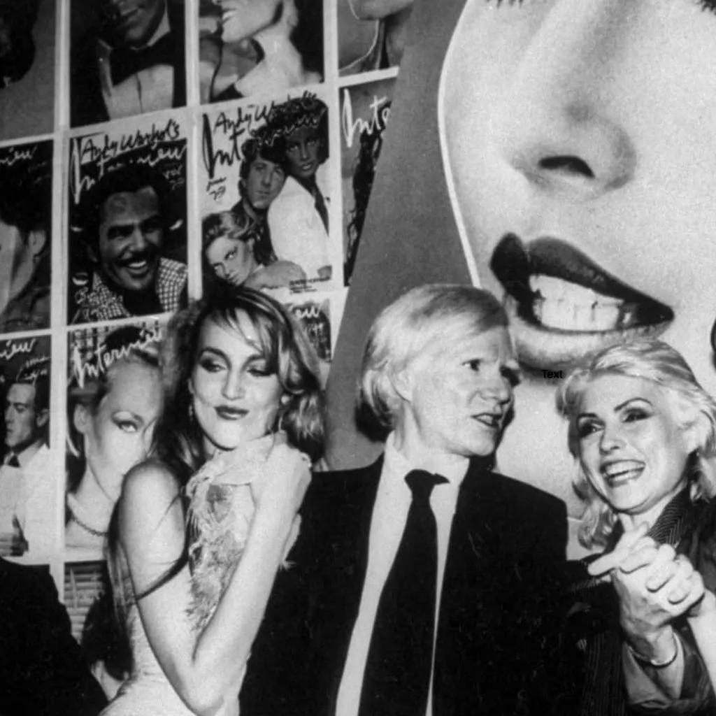 Studio 24 at Into The Wild Bushcraft