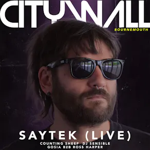 City Wall x Saytek