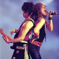 The Rollin' Stoned at The Flowerpot