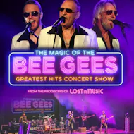 THE MAGIC of the BEE GEES at Babbacombe Theatre