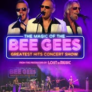 THE MAGIC of the BEE GEES at Babbacombe Theatre