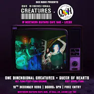 One Dimesnional Creatures & Queer of Hearts in Leeds at Northern Guitars Bar