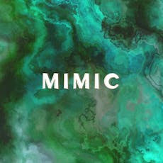 MIMIC - Summer Special at The Wharf Stourport On Severn
