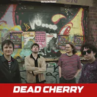 Dead Cherry - Liverpool at The Quarry