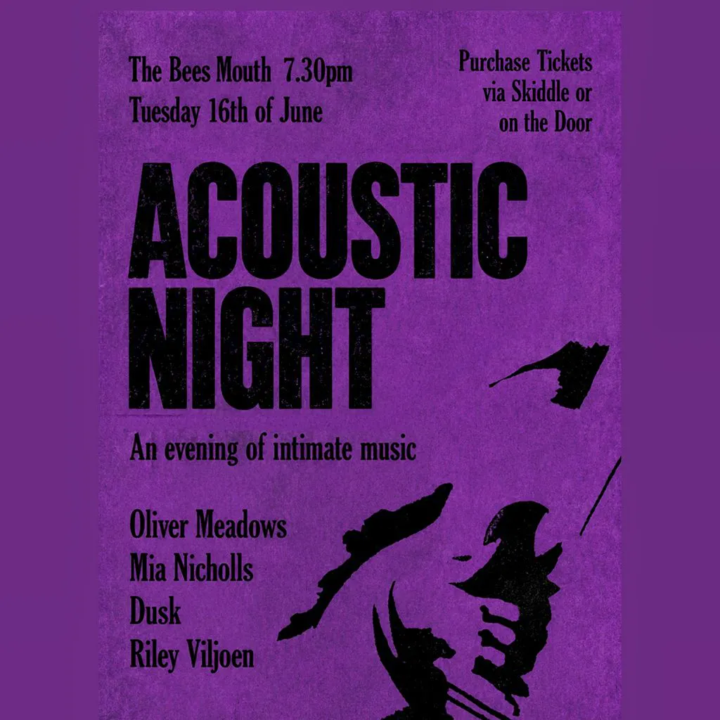 Acoustic Night | Intimate Music at The Bees Mouth