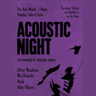 Acoustic Night | Intimate Music at The Bees Mouth