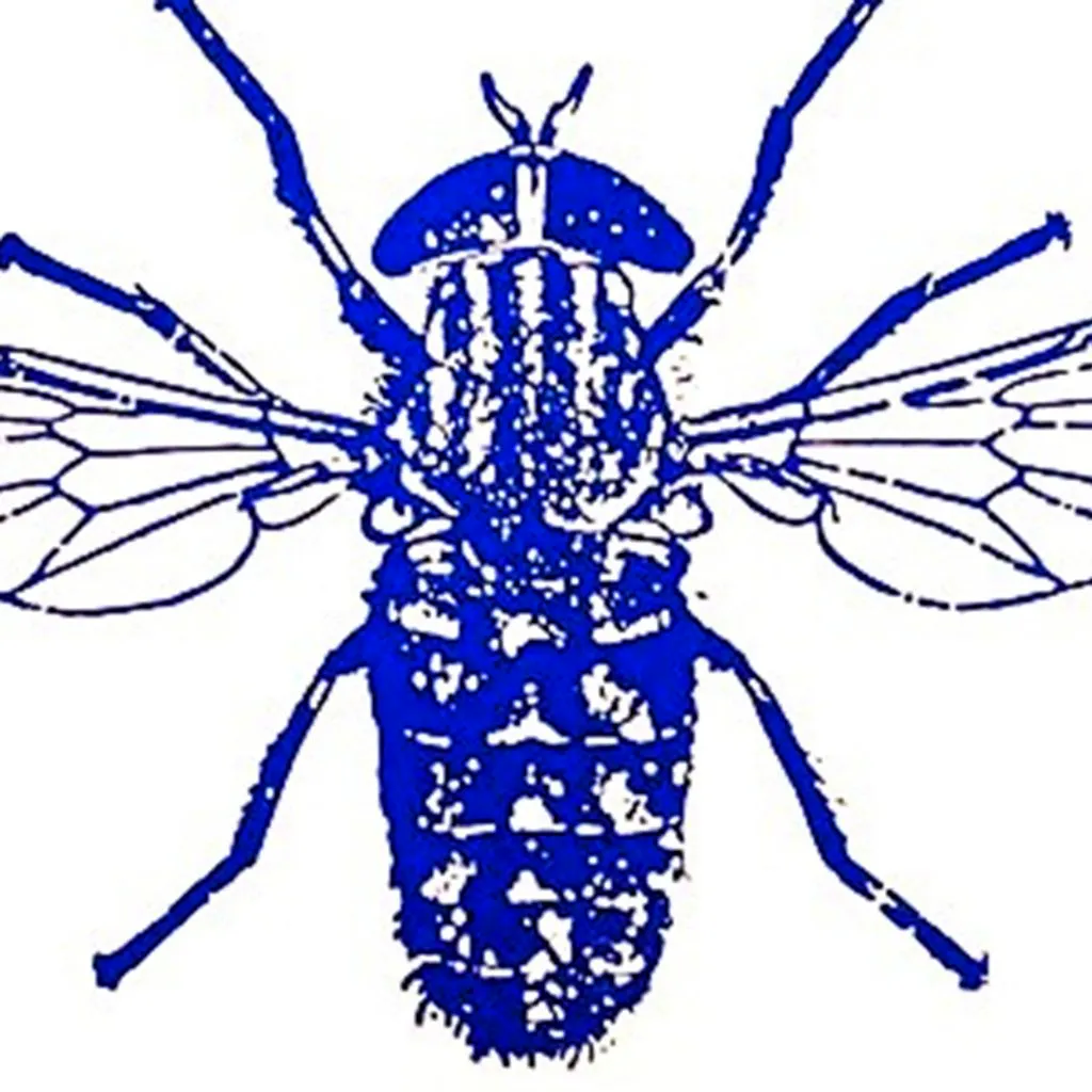Venus Fly Trap 1986-2026 + special guests at The Black Prince
