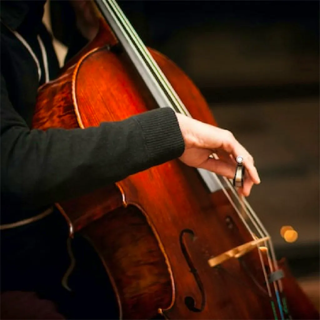 Bach Cello Suites by Candlelight at St Mary Le Strand