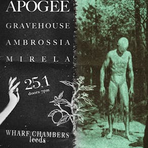 Apogee | Gravehouse | Ambrossia | Mirela