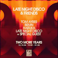 Late Night Disco & Friends at Two More Years