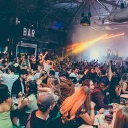 Bingo Lingo - Liverpool - Halloween Special Tickets | Camp And Furnace Liverpool   | Fri 27th October 2023 Lineup