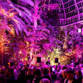 Ellie Sax Live In The Palm House