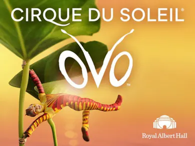 Cirque Du Soleil: Ovo