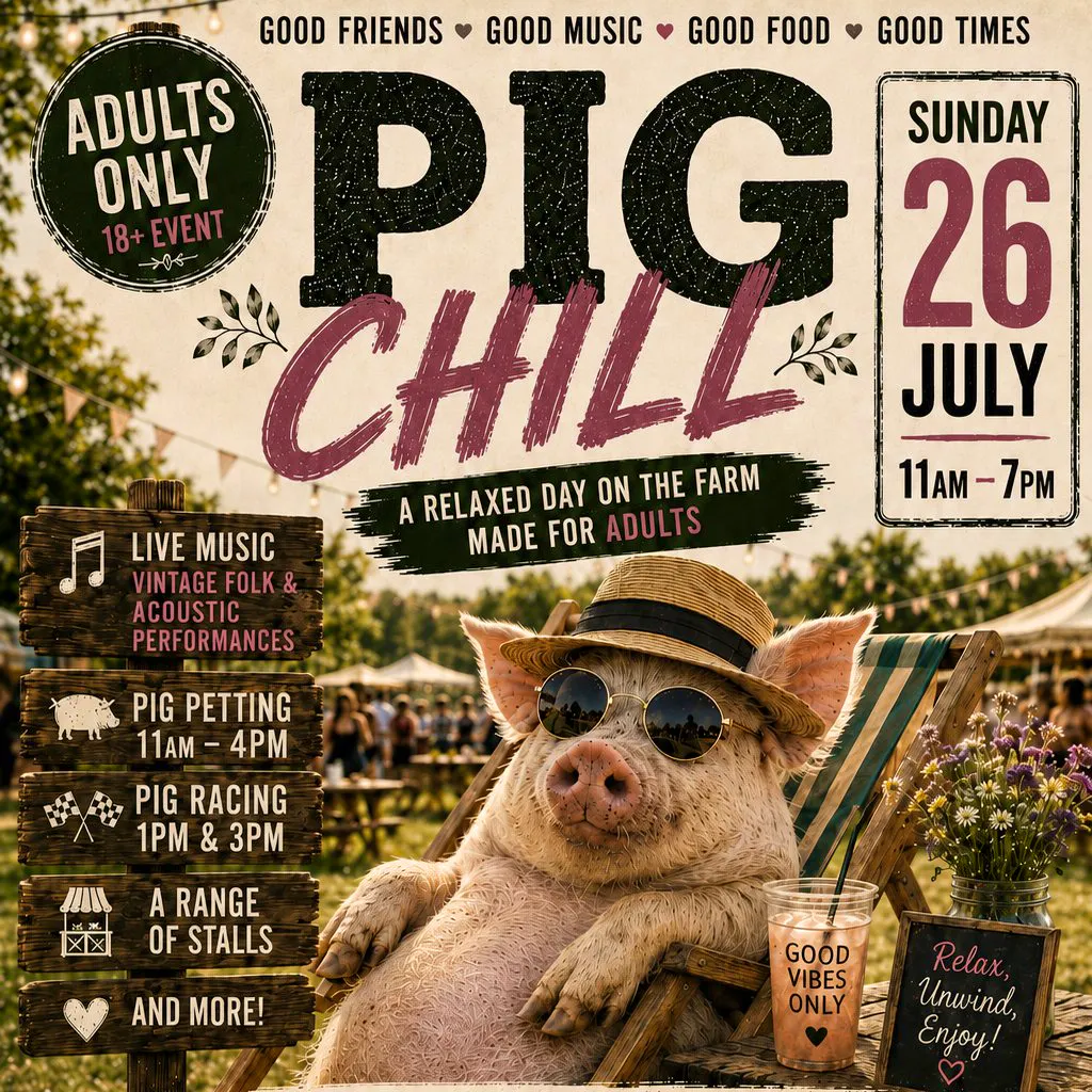 Pig Chill at Kew Little Pigs Farm Ltd