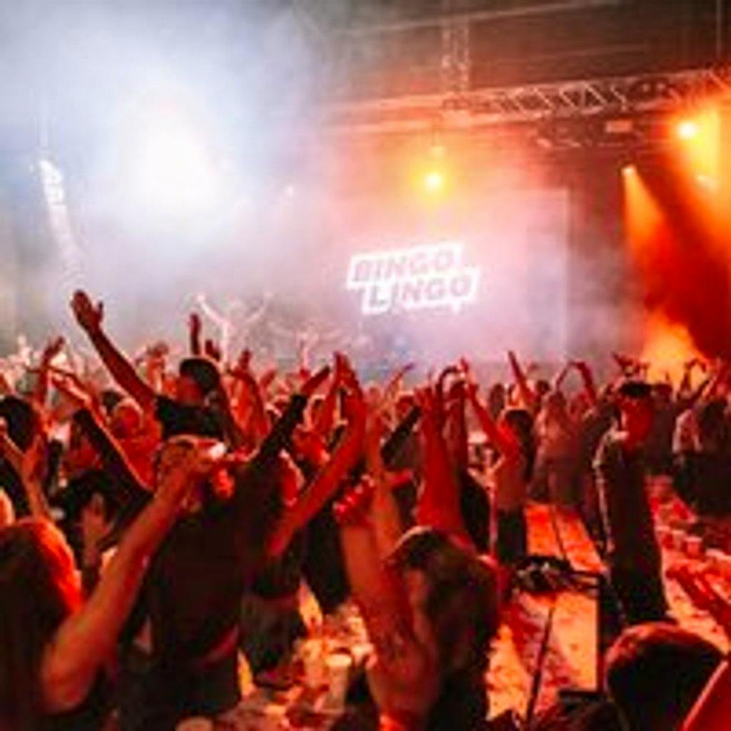 Bingo Lingo - St Patrick's Special at Reading Students Union