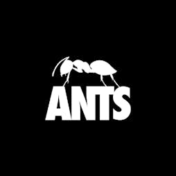 Reviews: Ants | Ushuaia Ibiza Beach Hotel Eivissa  | Sat 21st May 2022