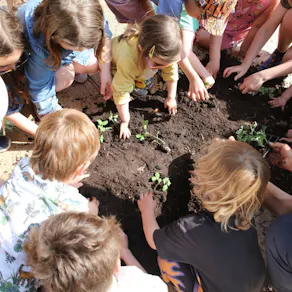 Messy Play Party at Electric Daisy - Roald Dahl