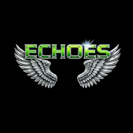 Echoes at The Swan at The Swan Billingham