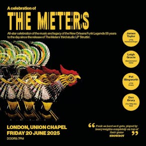 A Celebration of The Meters