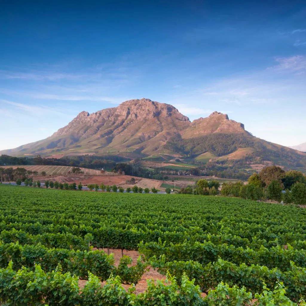 World of Wine: South Africa and the USA. at Reading Biscuit Factory