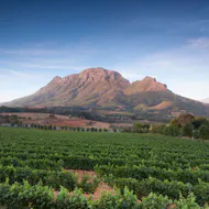 World of Wine: South Africa and the USA. at Reading Biscuit Factory