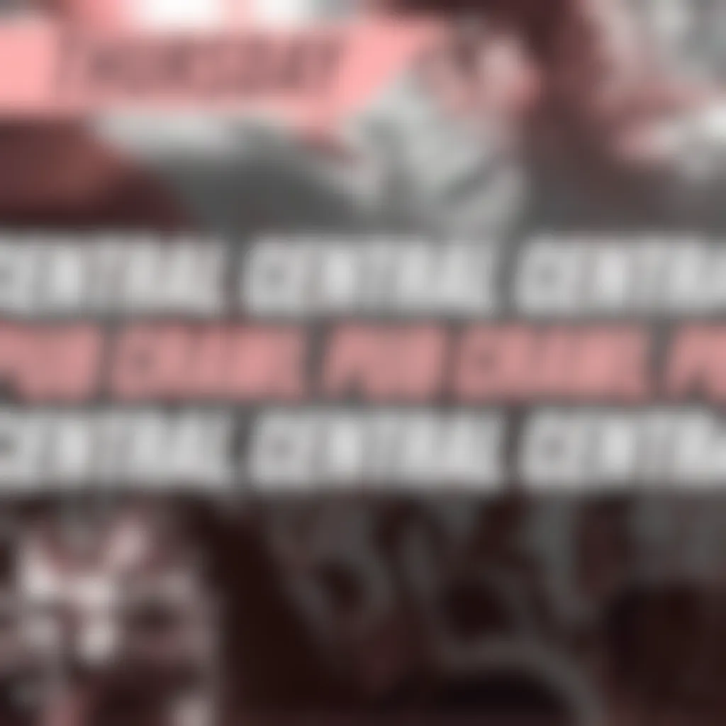 banner