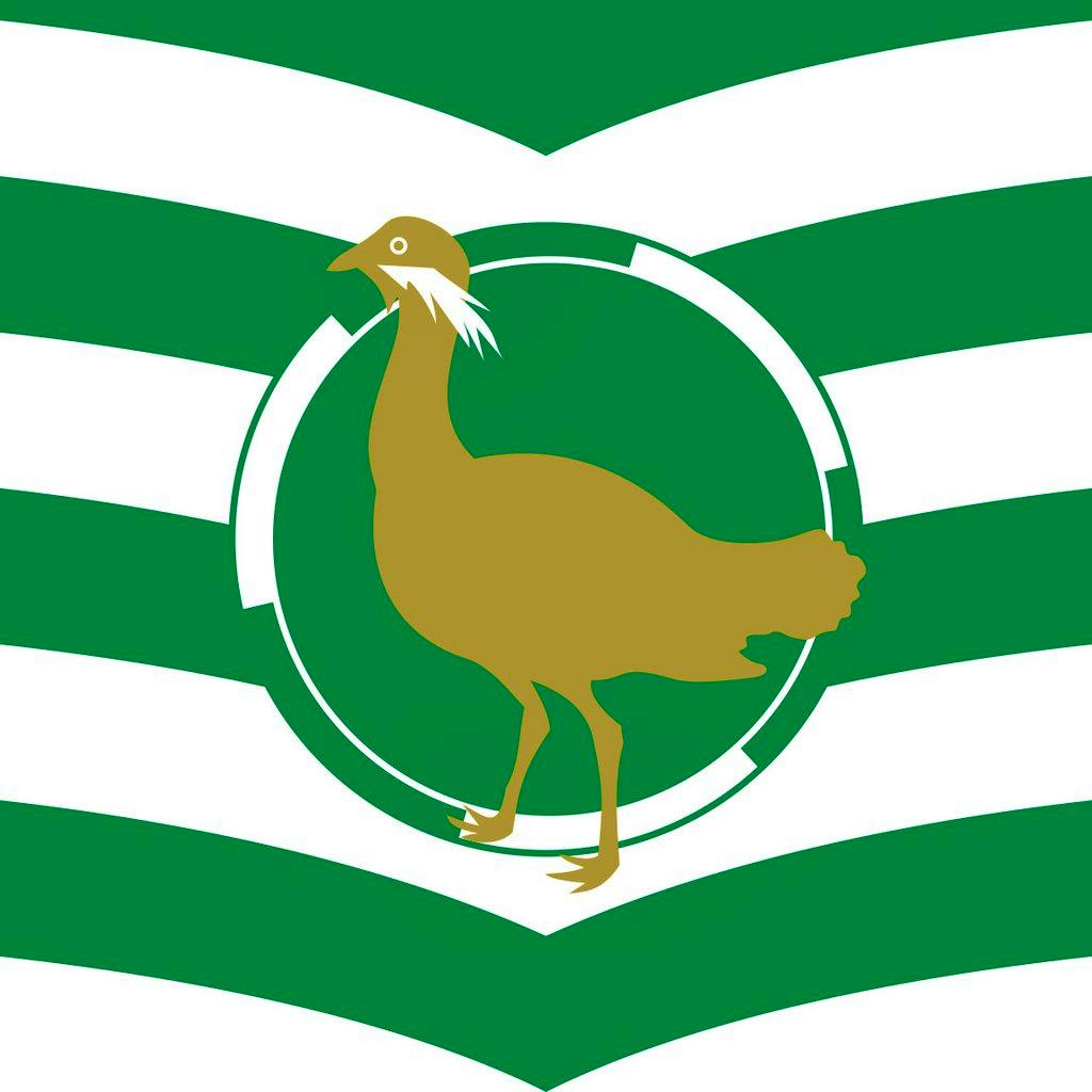 Swindon Balloon Festival at Lydiard Park