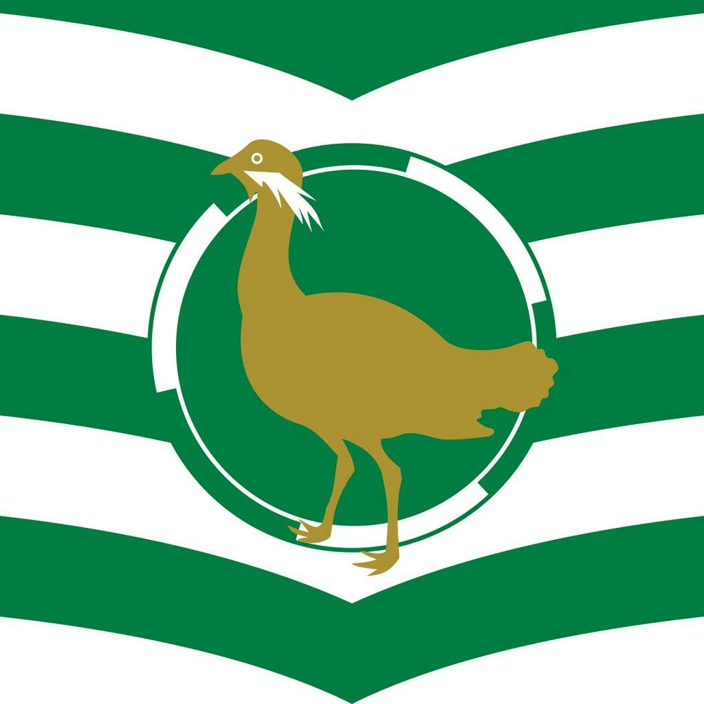 Swindon Balloon Festival in Swindon