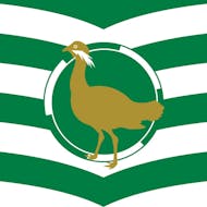 Swindon Balloon Festival at Lydiard Park