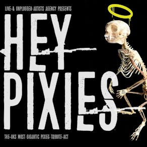 Hey Pixies - The UK's Most Gigantic Pixies Tribute Band