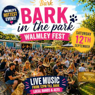 Bark in the park at The Bark Company