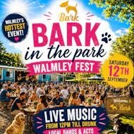 Bark in the park at The Bark Company