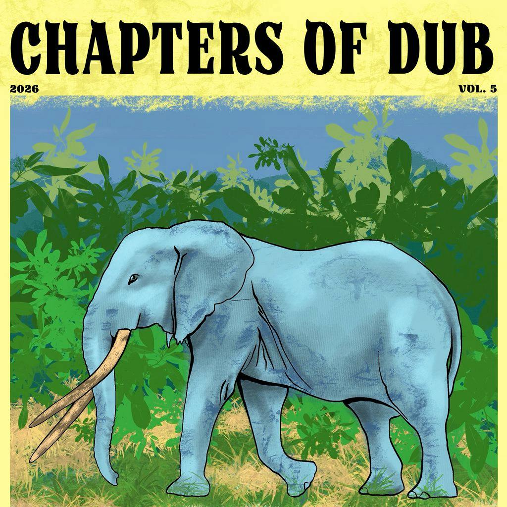 Chapters Of Dub vol5 at 2funkycomplex