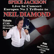 Neil Diamond Tribute at The Quarry Club
