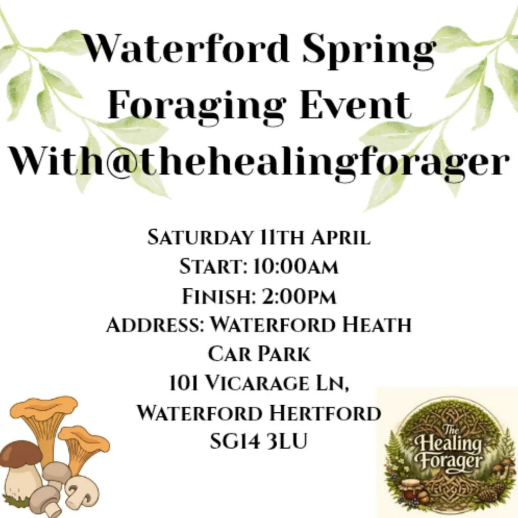 Waterford Foraging Walk at Waterford Heath Car Park