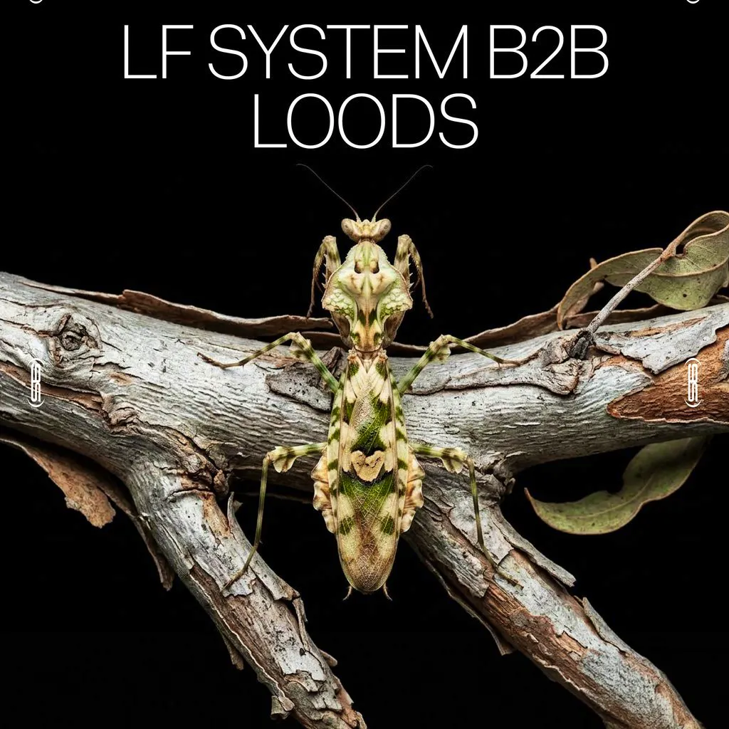 Amber's Presents: LF System b2b Loods at Amber's