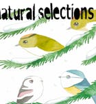 Natural Selections End of Year Party