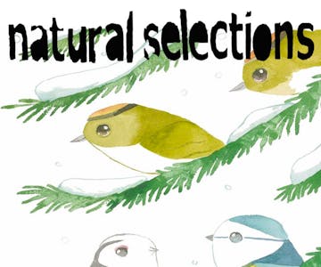 Natural Selections End of Year Party