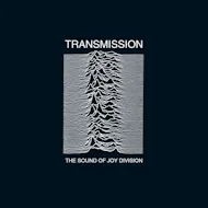 Transmission - The Sound Of Joy Division at The Arena Crewe