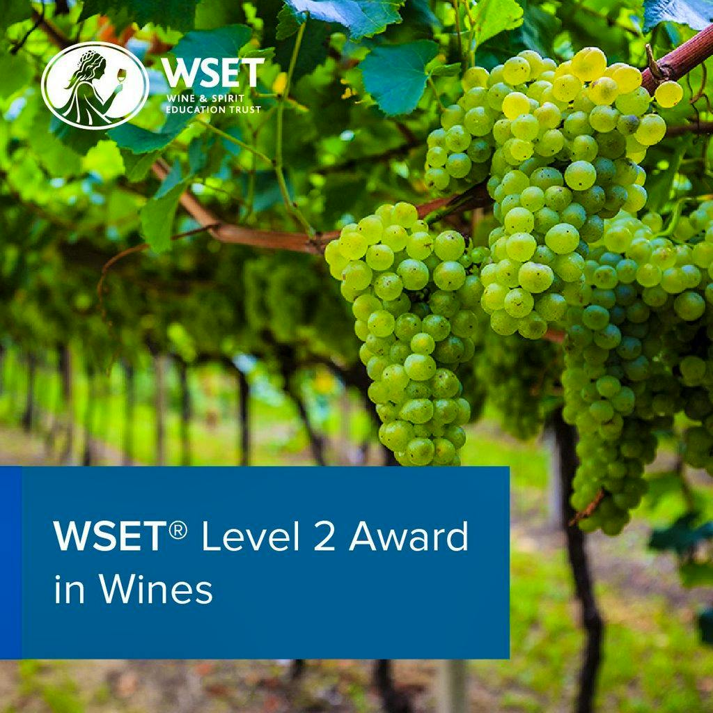 WSET L2 Award in Wines Stanlake Park Winery at Stanlake Park Wine Estate