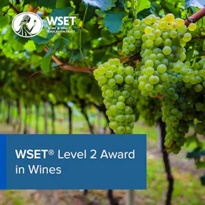 WSET L2 Award in Wines Stanlake Park Winery