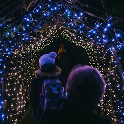 Illuminated Lates | Stockwood Discovery Centre Luton  | Sat 3rd December 2022 Lineup