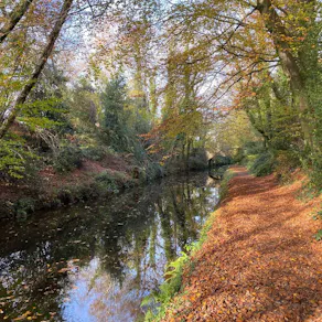 Chepstow Autumn Walking Festival