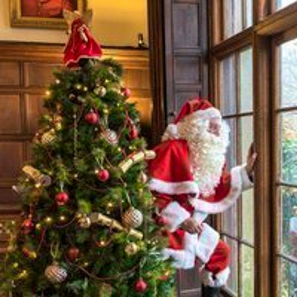 Astley Santa's Grotto - 21st of December at Astley Hall Coach House And Park