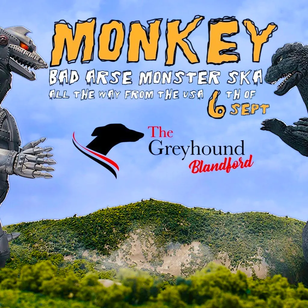 MONKEY at the Greyhound Pub (Blandford Forum) at The Greyhound Pub