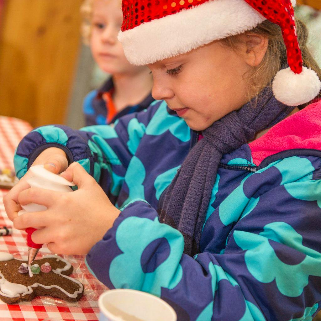Festive Family Fun Days at WWT London Wetland Centre