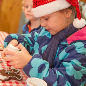 Festive Family Fun Days